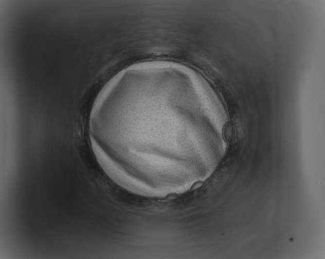 X0000100941158200807151300