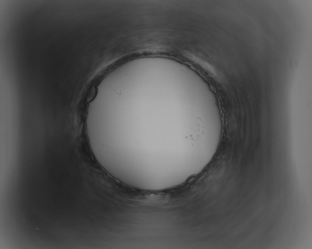 X0000100941160200807151300