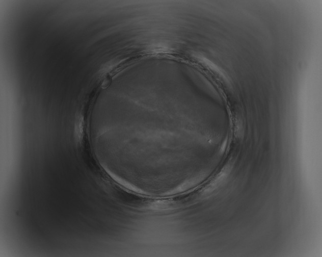 X0000100941161200807151300