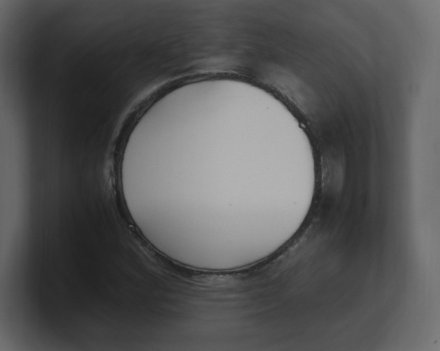 X0000100941164200807151300