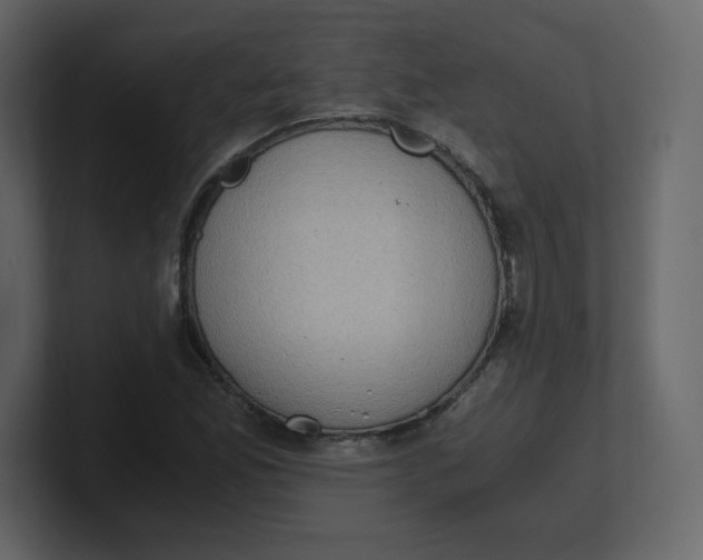 X0000100941165200807151259