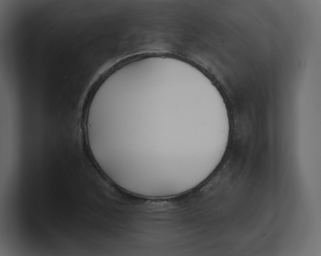 X0000100941168200807151259