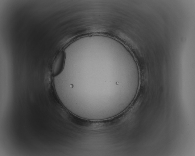 X0000100941169200807151259