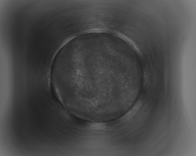 X0000100941170200807151259