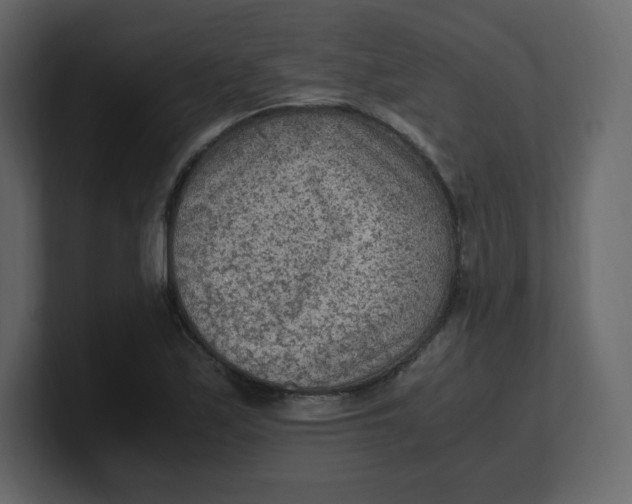 X0000100941171200807151259