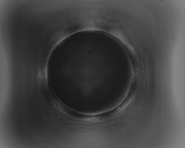 X0000100941173200807151259