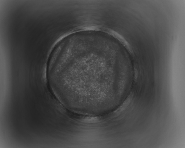 X0000100941174200807151259