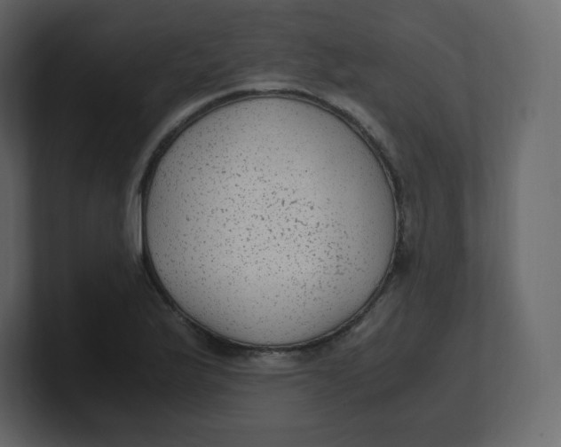 X0000100941175200807151259