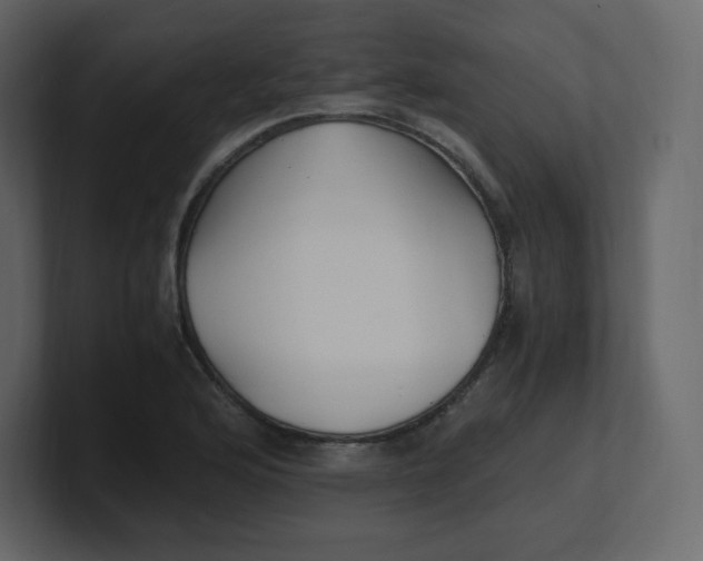 X0000100941176200807151259