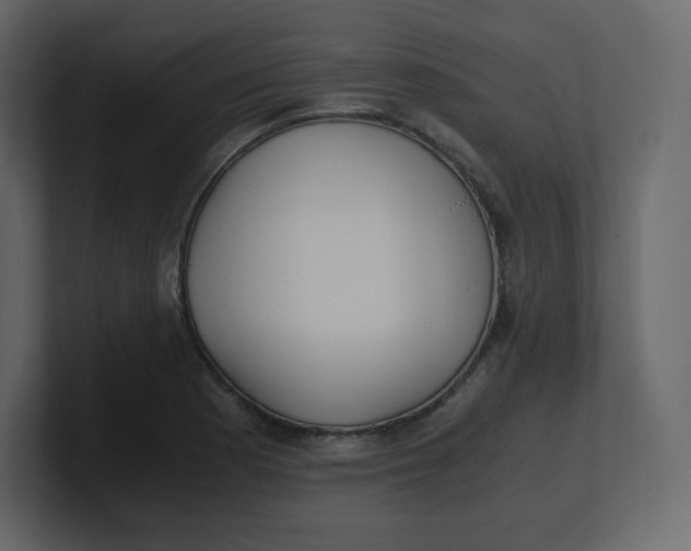 X0000100941177200807151259