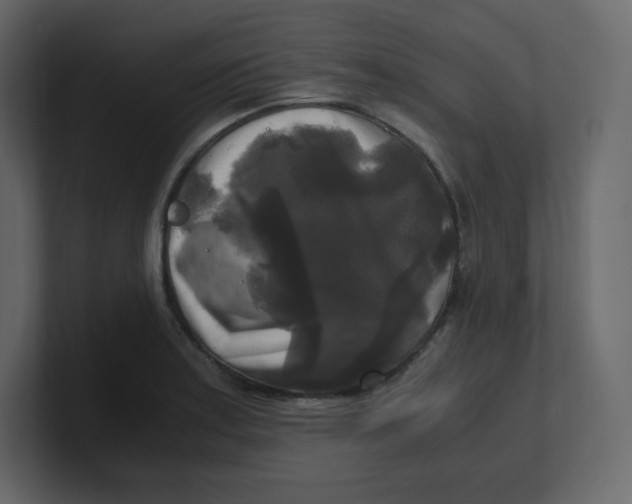 X0000100941179200807151259