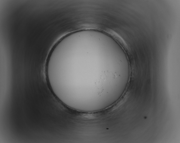 X0000100941182200807151259