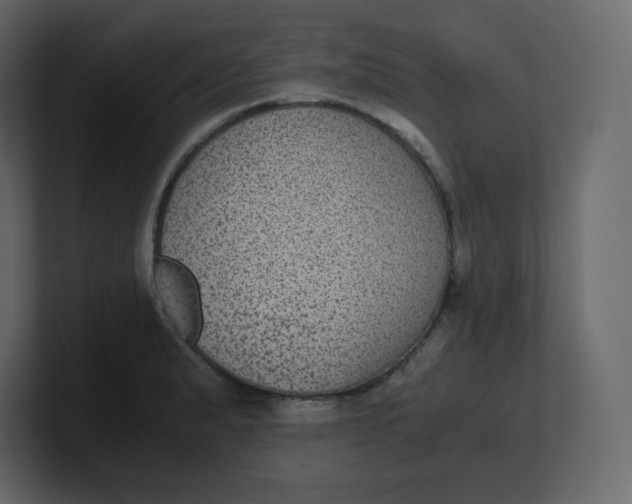 X0000100941183200807151259