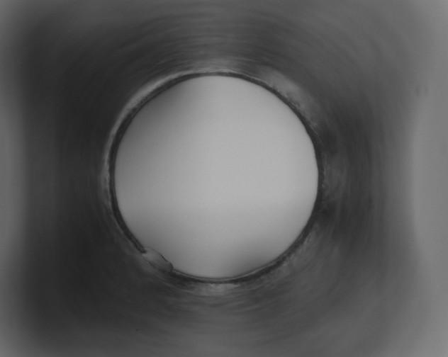 X0000100941184200807151259