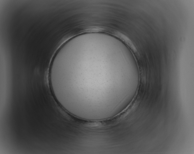 X0000100941186200807151259