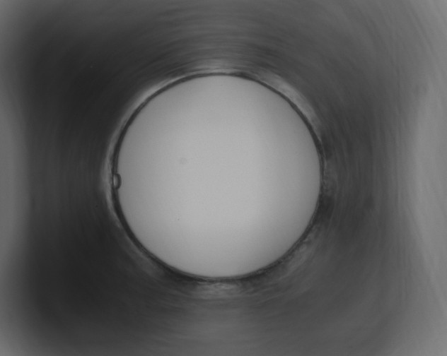 X0000100941187200807151259