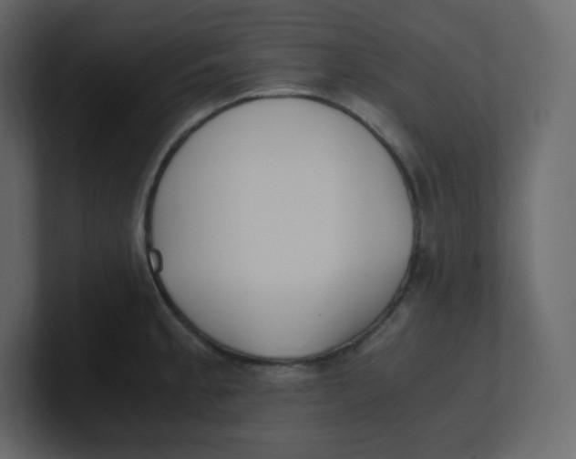 X0000100941189200807151259