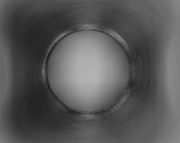 X0000100941190200807151259