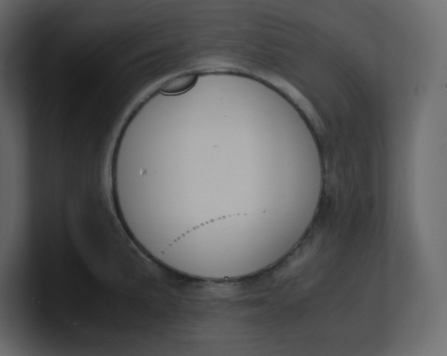 X0000100941191200807151259