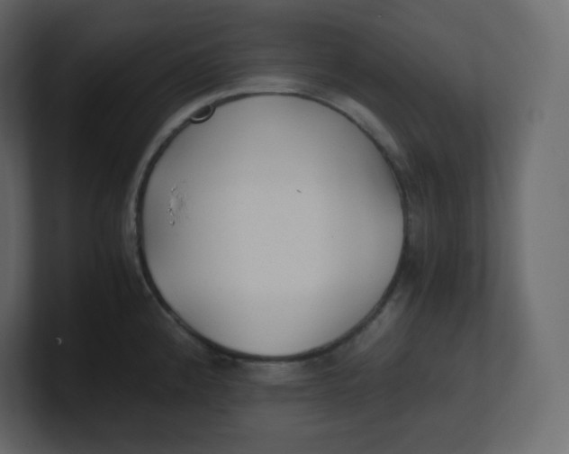 X0000100941192200807151259