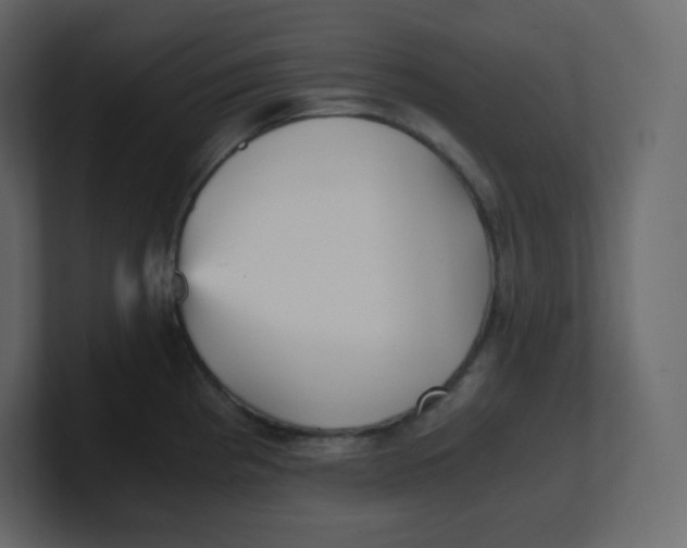 X0000100941193200807151259