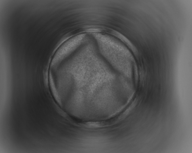 X0000100941194200807151259