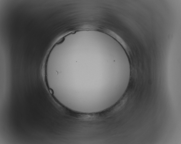 X0000100941195200807151259