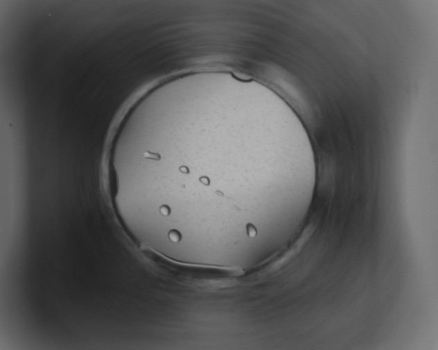 X0000100941196200807151259