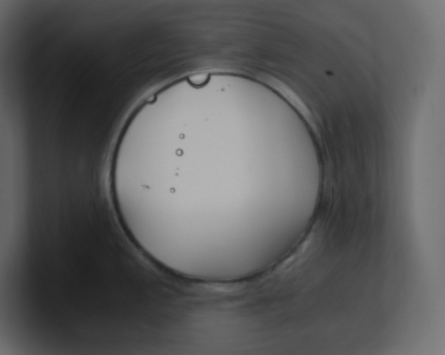 X0000100941197200807151259