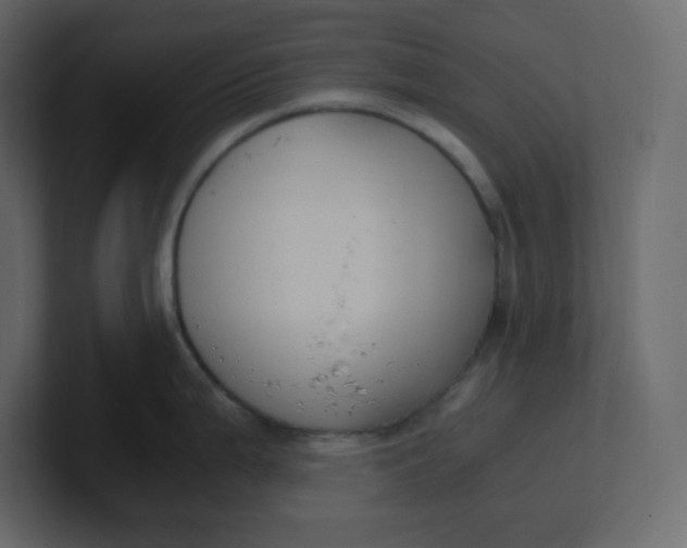 X0000100941199200807151259