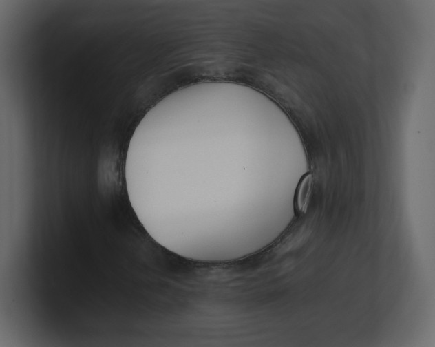 X0000100941202200807151258