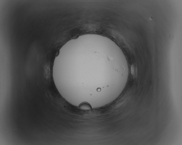 X0000100941203200807151258