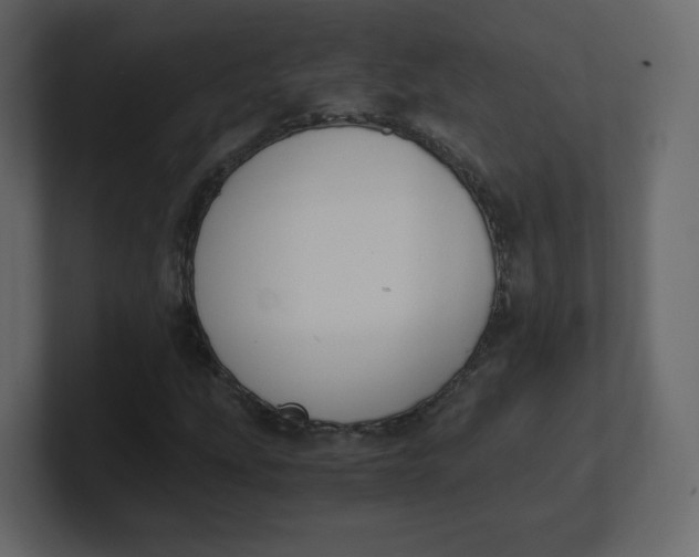 X0000100941207200807151258