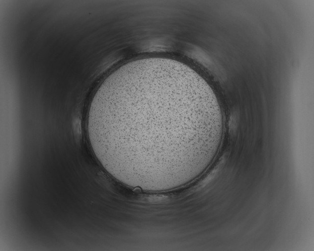 X0000100941209200807151258