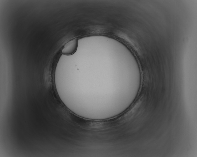 X0000100941211200807151258