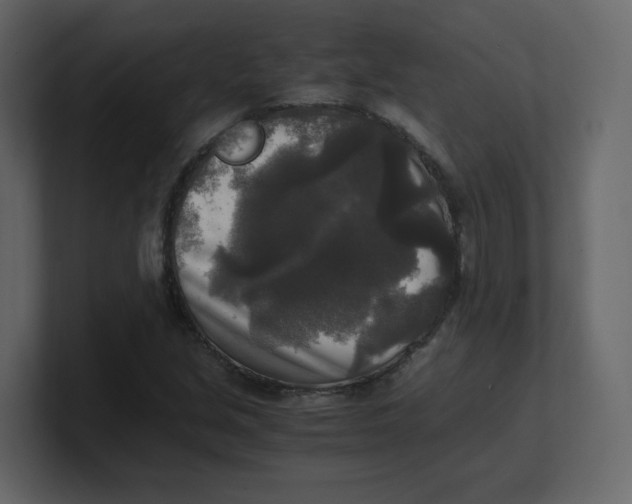 X0000100941213200807151258