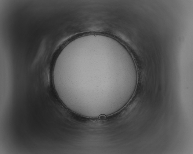 X0000100941214200807151258