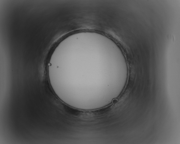 X0000100941215200807151259