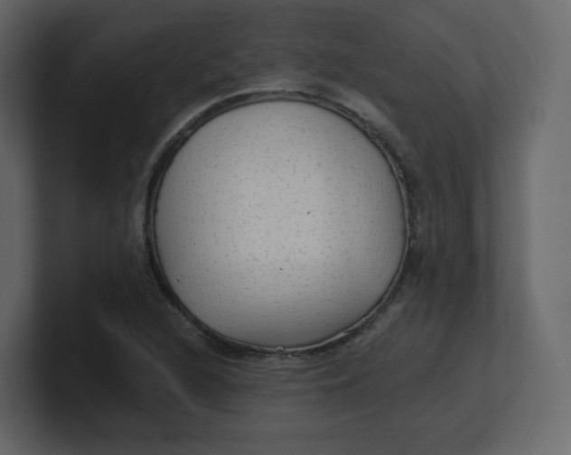 X0000100941216200807151259