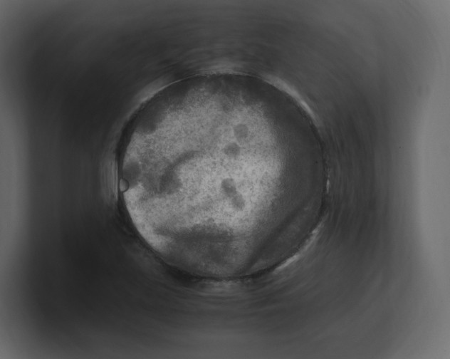 X0000100941219200807151259