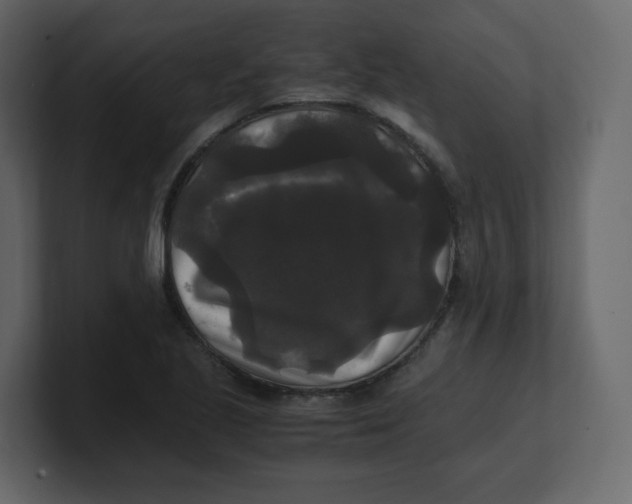 X0000100941221200807151259