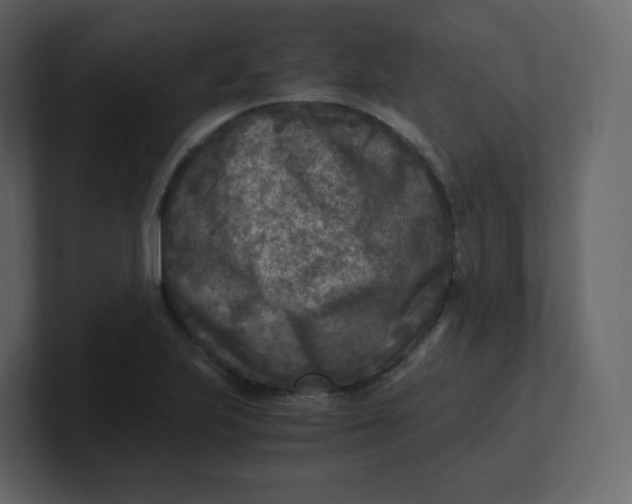 X0000100941223200807151259