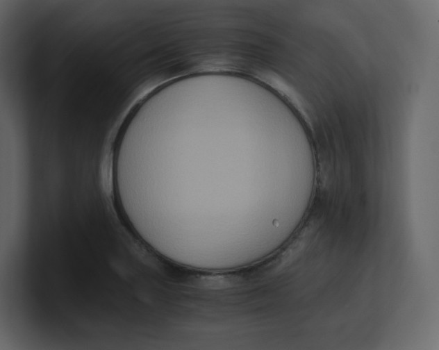 X0000100941227200807151259