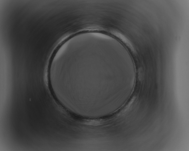 X0000100941229200807151259