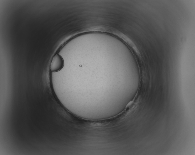 X0000100941230200807151259