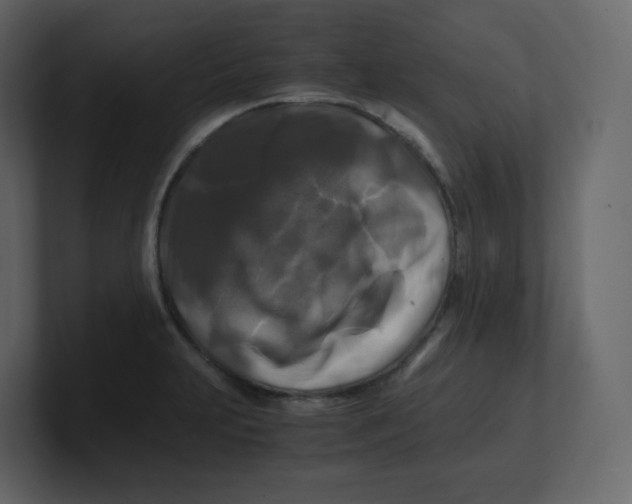 X0000100941231200807151259