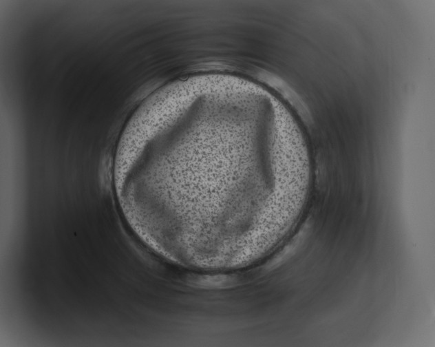 X0000100941233200807151259