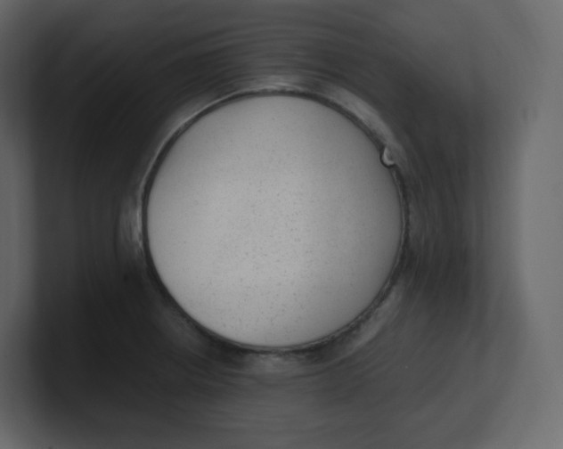 X0000100941234200807151259