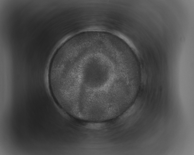 X0000100941237200807151259