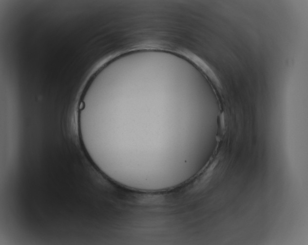 X0000100941238200807151259